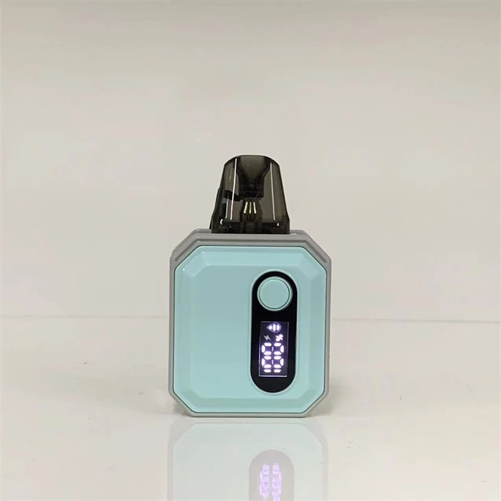 100% originální 600 Puff Custom Vaporizer Pen Vape Pod