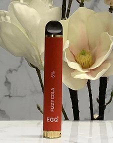 800 Puffs Disposable Vape With 550mAh Battery
