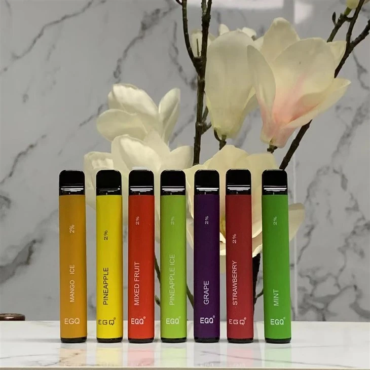 Hot 600 Puffs Disposable E Cig