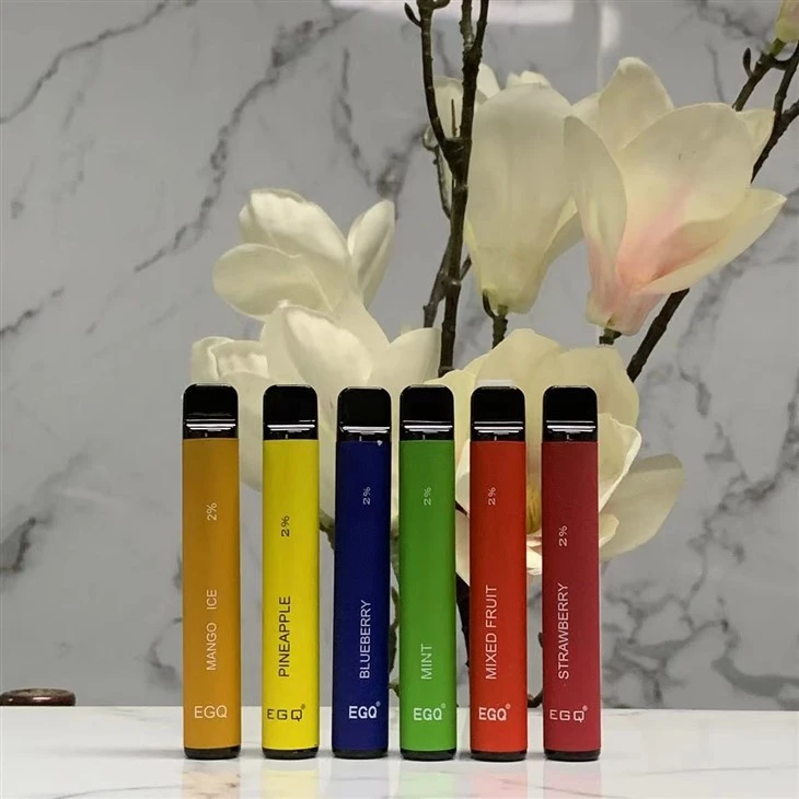 Hot Selling 600 Puffs Disposable Vape