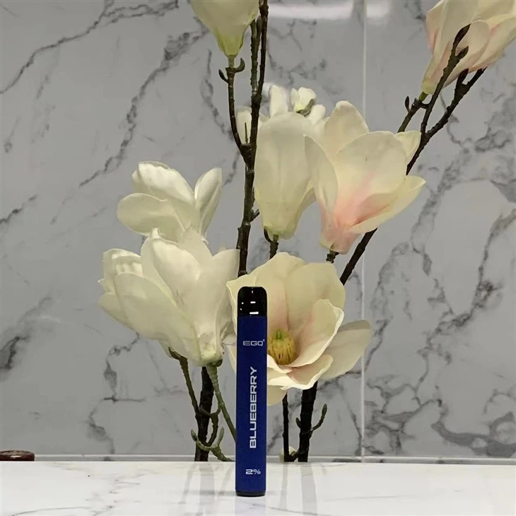 Trendy Disposable E-Cigarettes Vape With 600 Puffs