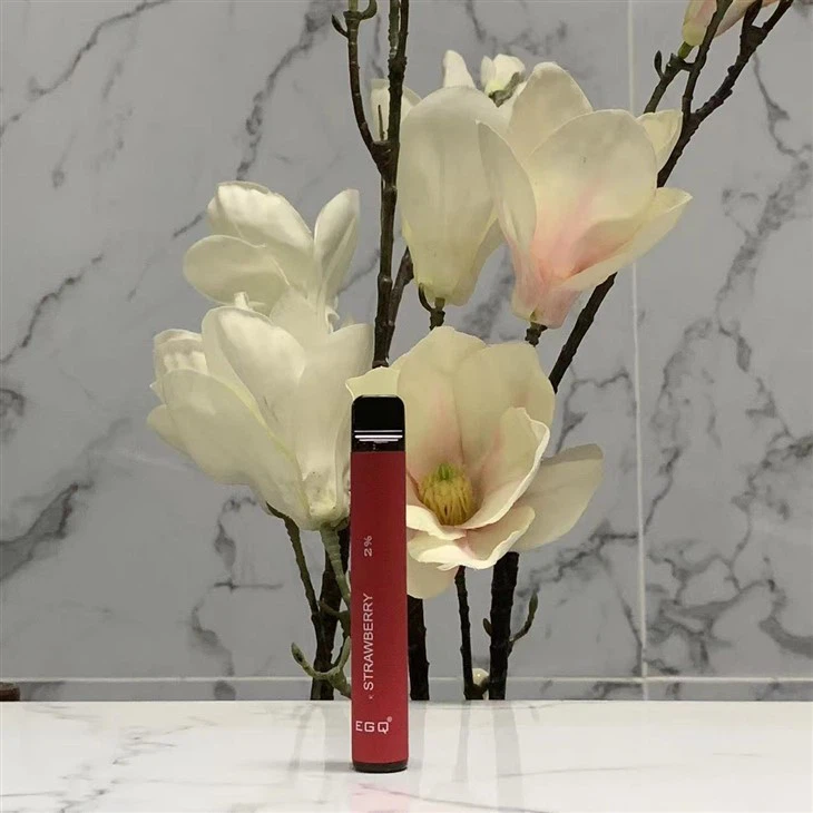 Vape Pen Vape Puff Electronic Cigarette