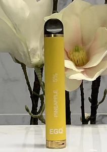 Wholesaler I Disposable Vape With 800 Puffs